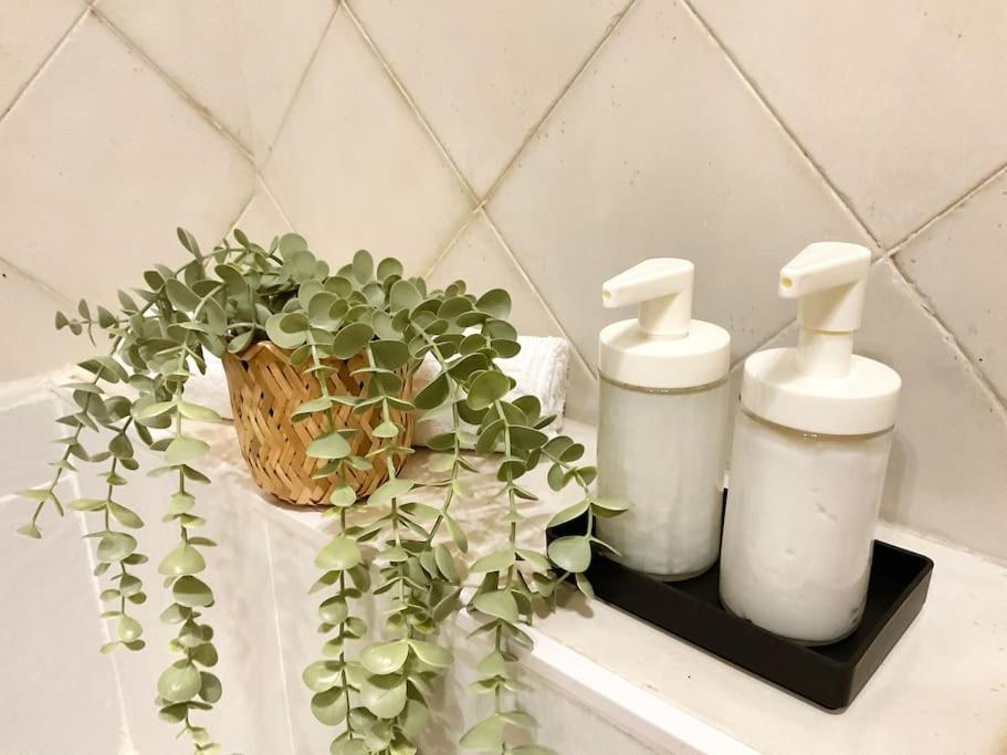 Ks Costa Mayka - San Jose - Kaleria Suites Zewnętrze zdjęcie